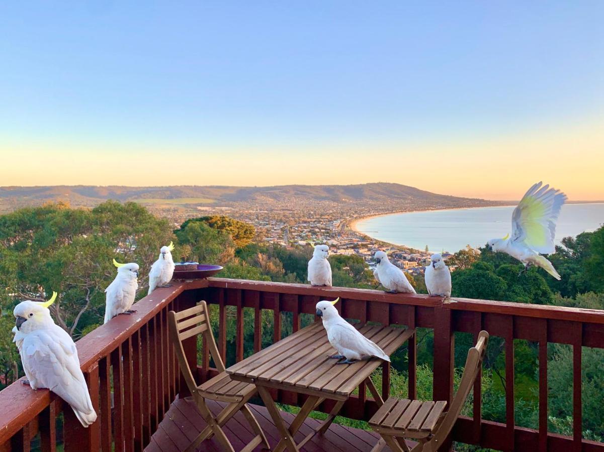 Kinoie Mornington - Oceanview Villa Mount Martha Buitenkant foto