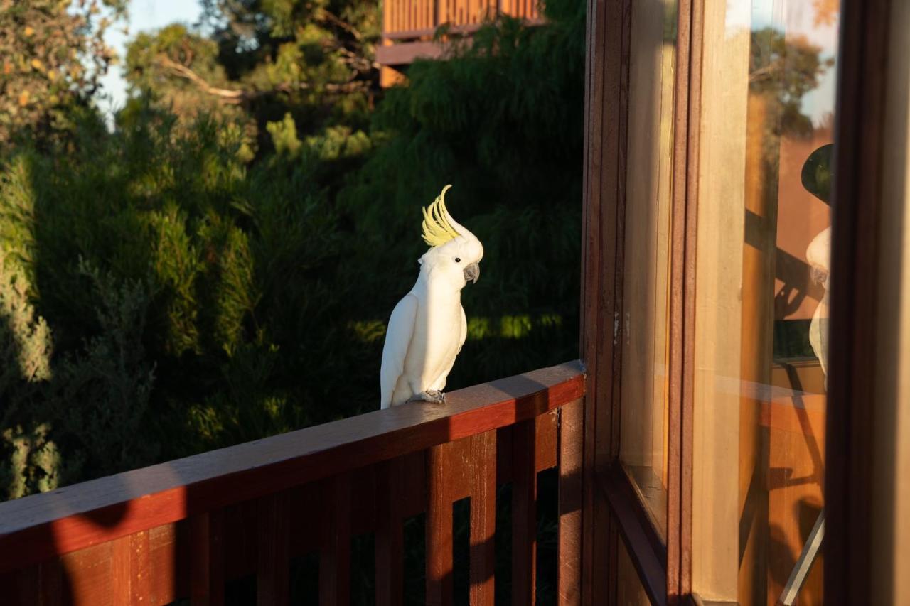 Kinoie Mornington - Oceanview Villa Mount Martha Buitenkant foto