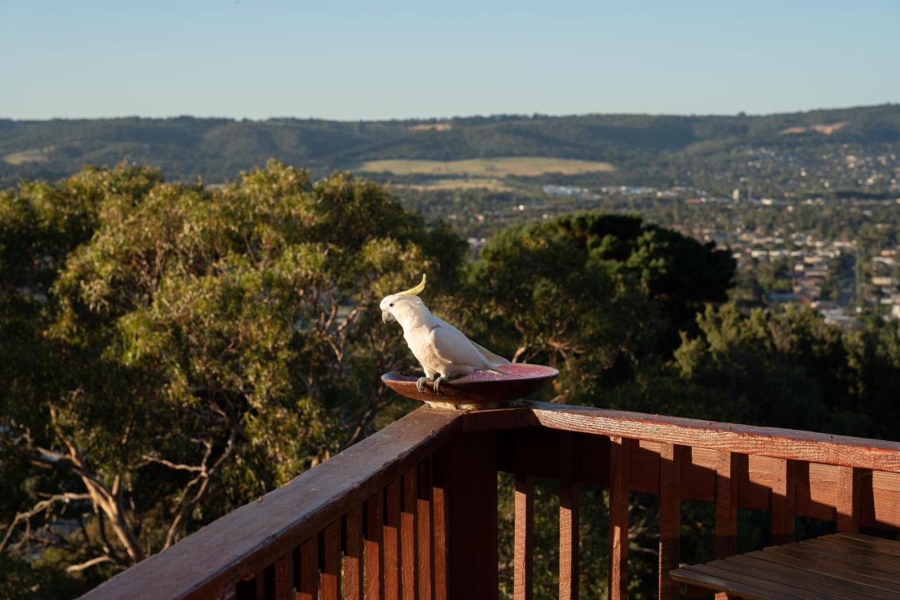 Kinoie Mornington - Oceanview Villa Mount Martha Buitenkant foto